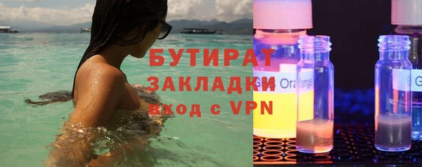 шишки Дмитриев