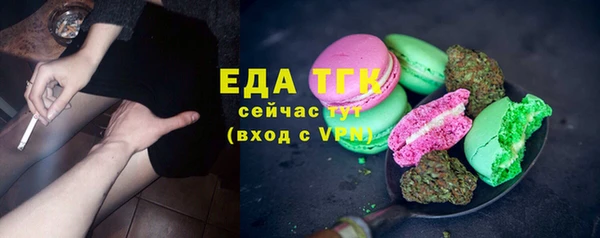 шишки Ельня