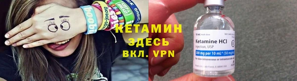 шишки Ельня