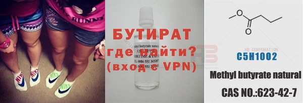 шишки Дмитриев