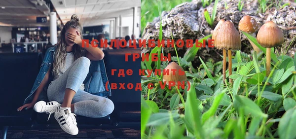 Альфа ПВП Дмитровск