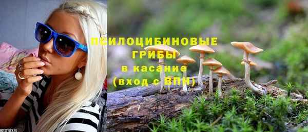 шишки Дмитриев