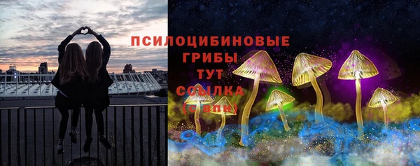 шишки Дмитриев
