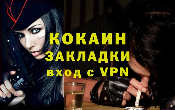 шишки Дмитриев