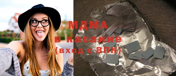 шишки Ельня